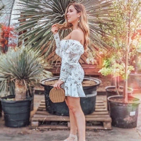 dixon mini dress for love and lemons